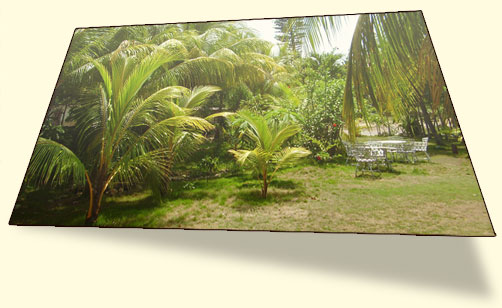 Casa En La Playa de Marta Alonso, Guanabo: Jardín